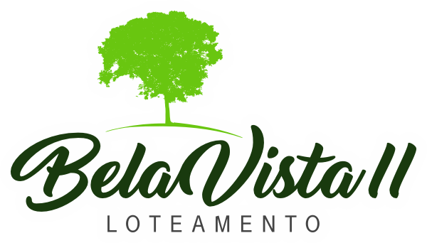 Logo BV2 contorno.png